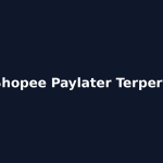 Cara Gestun Shopee Paylater Terpercaya Bandung